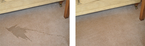 stain removal
